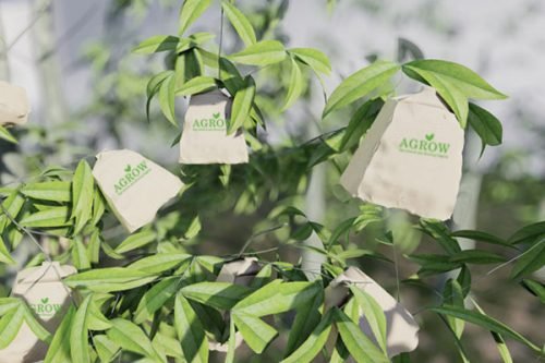 High Quality Peach Growing Bags