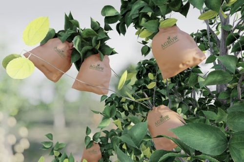 Apple Protection Bags