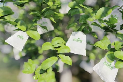 Guava Growing Bags