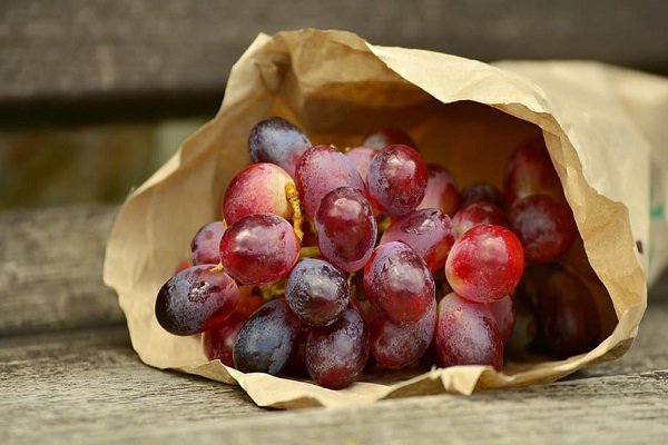 Grape bagging application