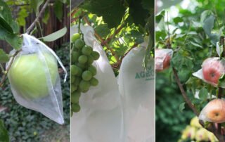 What kind of fruit bag should I choose