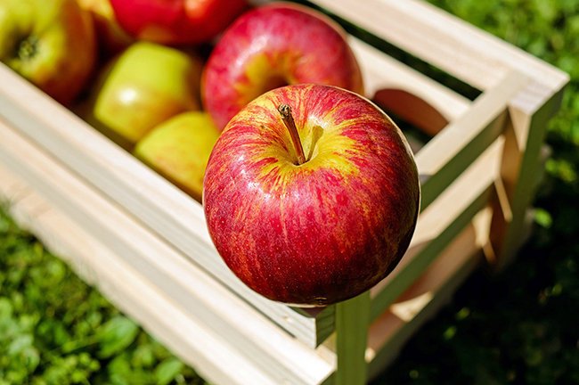 Apple Coloring-After