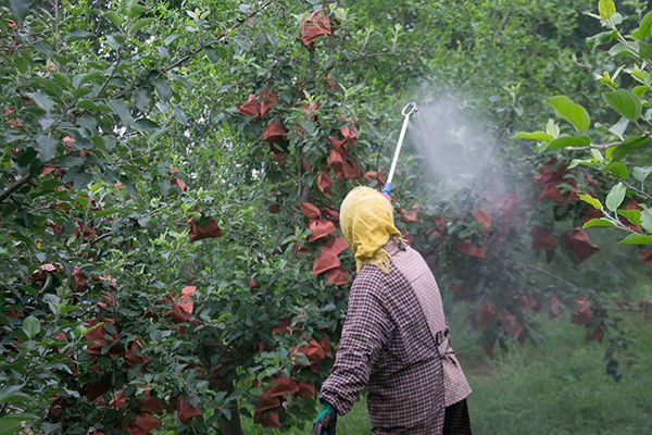 Avoid pesticide residues