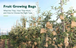 Fruit Growing Bags Types, Sizes, and 8 Buying Criteria